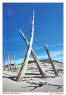 Ghost Forest on the Sleeping Bear Dunes, Michigan