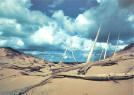 Ghost forest on Sleeping Bear Dunes, Michigan